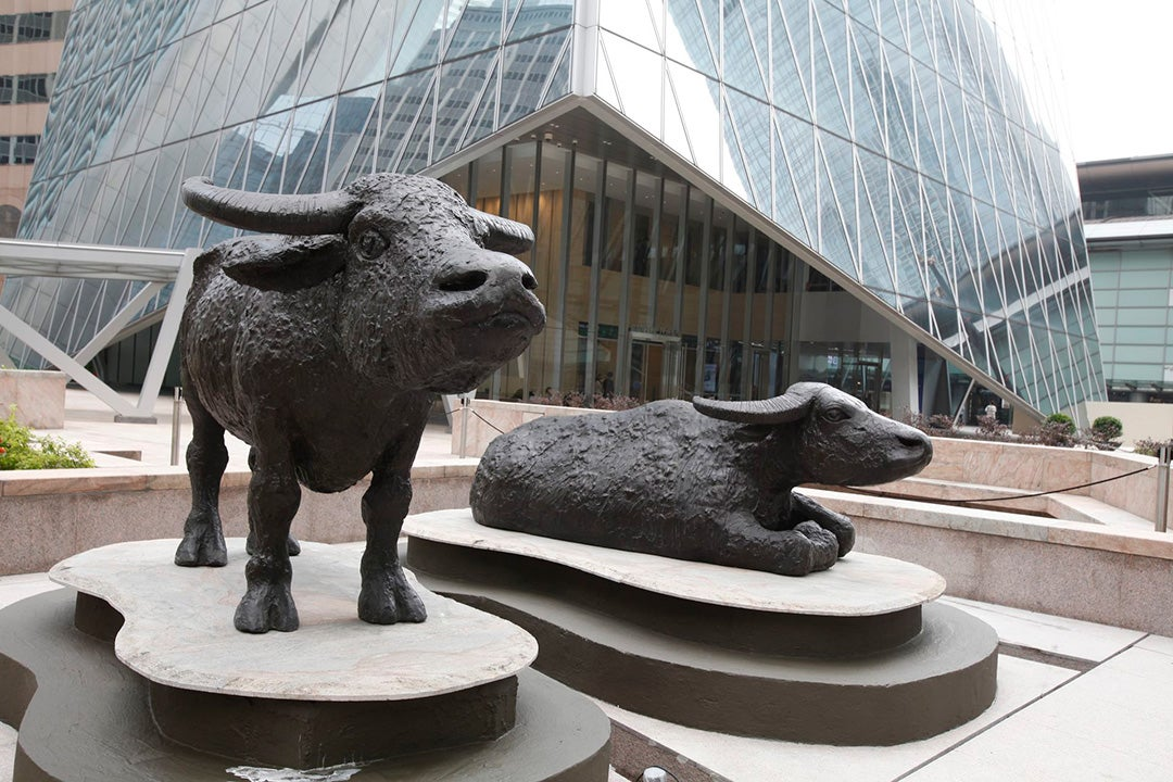 Hong Kong Stock Exchange (HKEX)