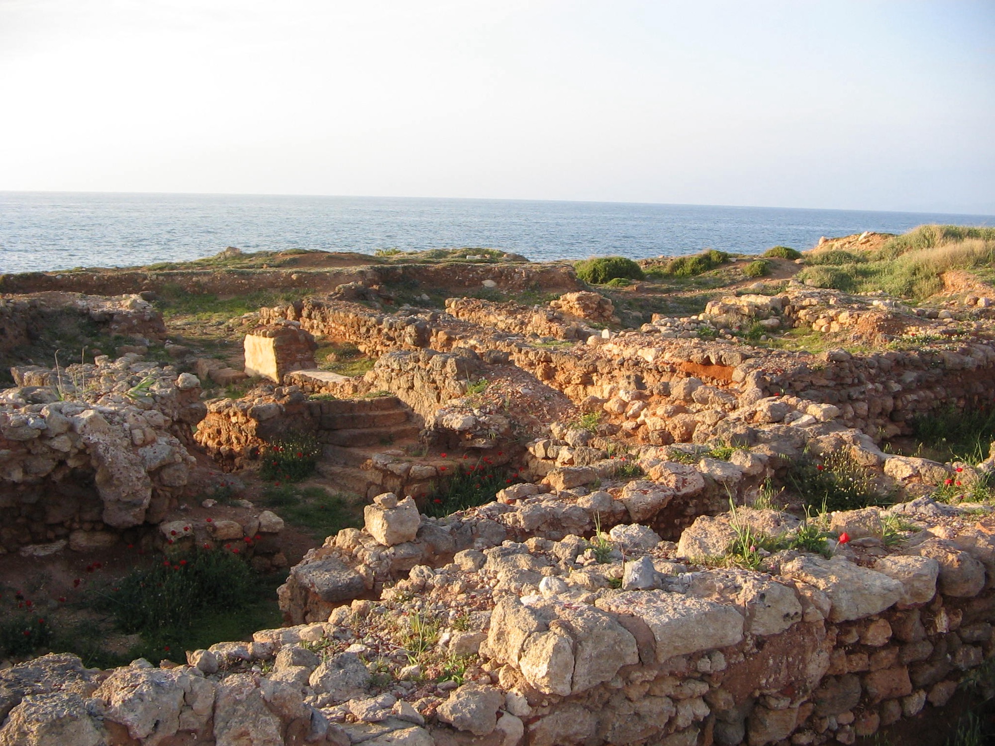 Ugarit: The Grand-place and the Merchant Quarter